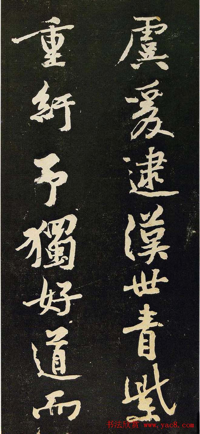 揭秘育蜂王技术如何通过视频提升蜜蜂养殖效率与产量