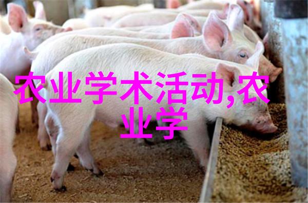 蔬香满园学种大棚的智慧与魅力