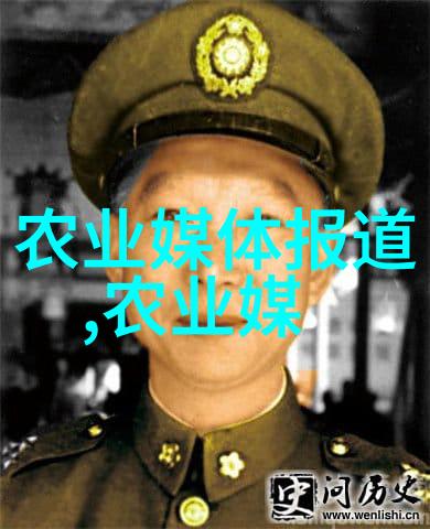 春季养蜂技巧全解从分蜜蜂到管理巢穴的详细视频指南