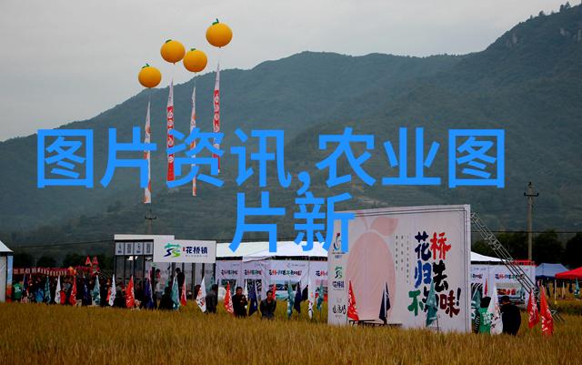 高效养殖特种宠物如松鼠狐狸等的利润性分析