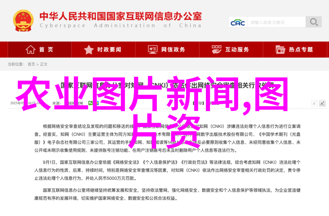 绿意盎然生活美学探究在家园中可行且美丽的三大类别树籽选择方法