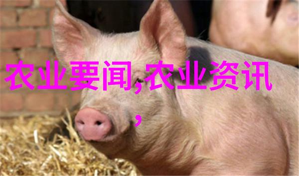 水果籽的秘密揭开它们真正的来源和用途
