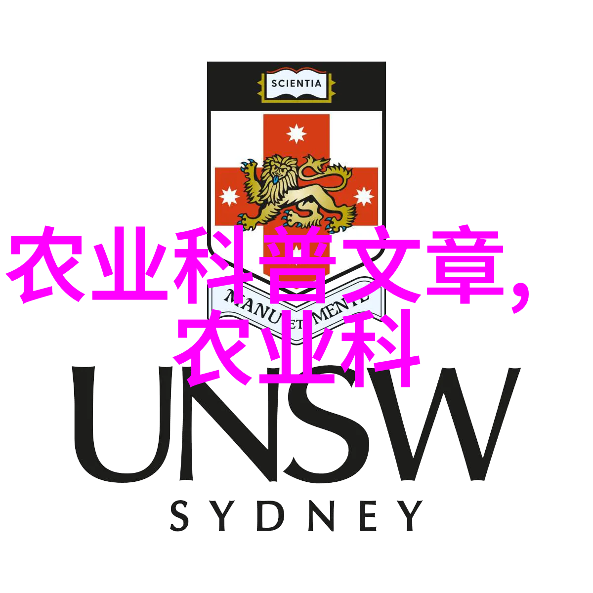 朝天椒一亩年利种植技巧与市场前景探究
