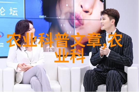 茶具选择指南如何搭配中国美食与时尚生活方式