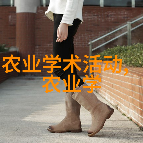 公交车内疯狂做作业现象学生如何在拥挤中保持专注与效率