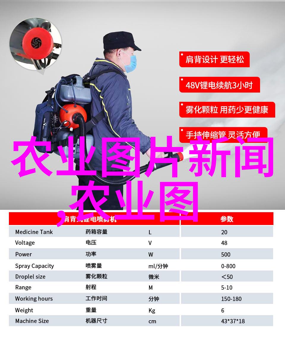 农村振兴战略下的政策支持体系构建