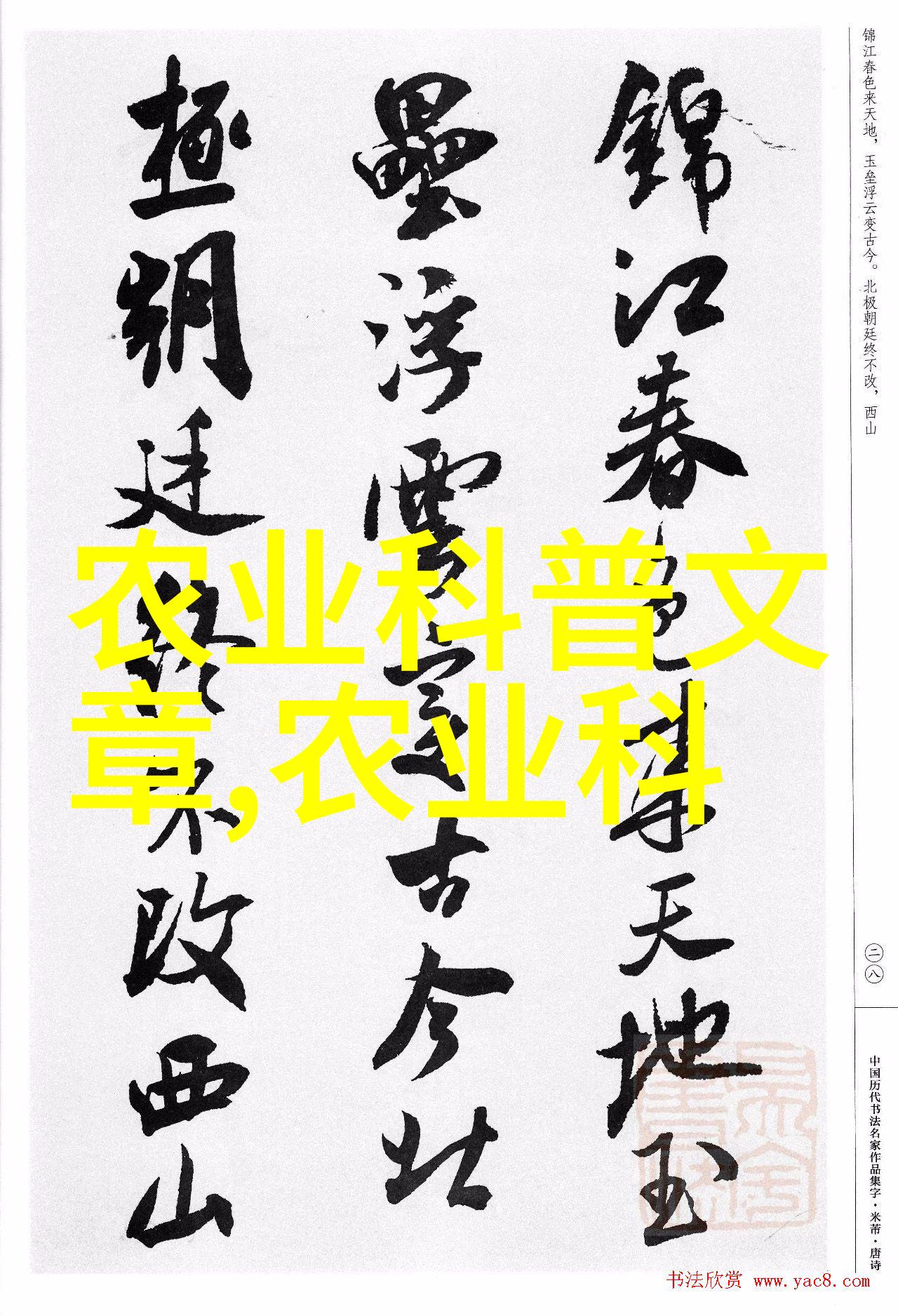 品茗女人茶香中藏的健康与挑战