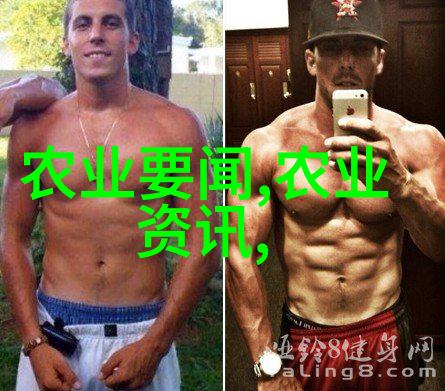 雪花中的菜园探寻冬日蔬菜的秘密