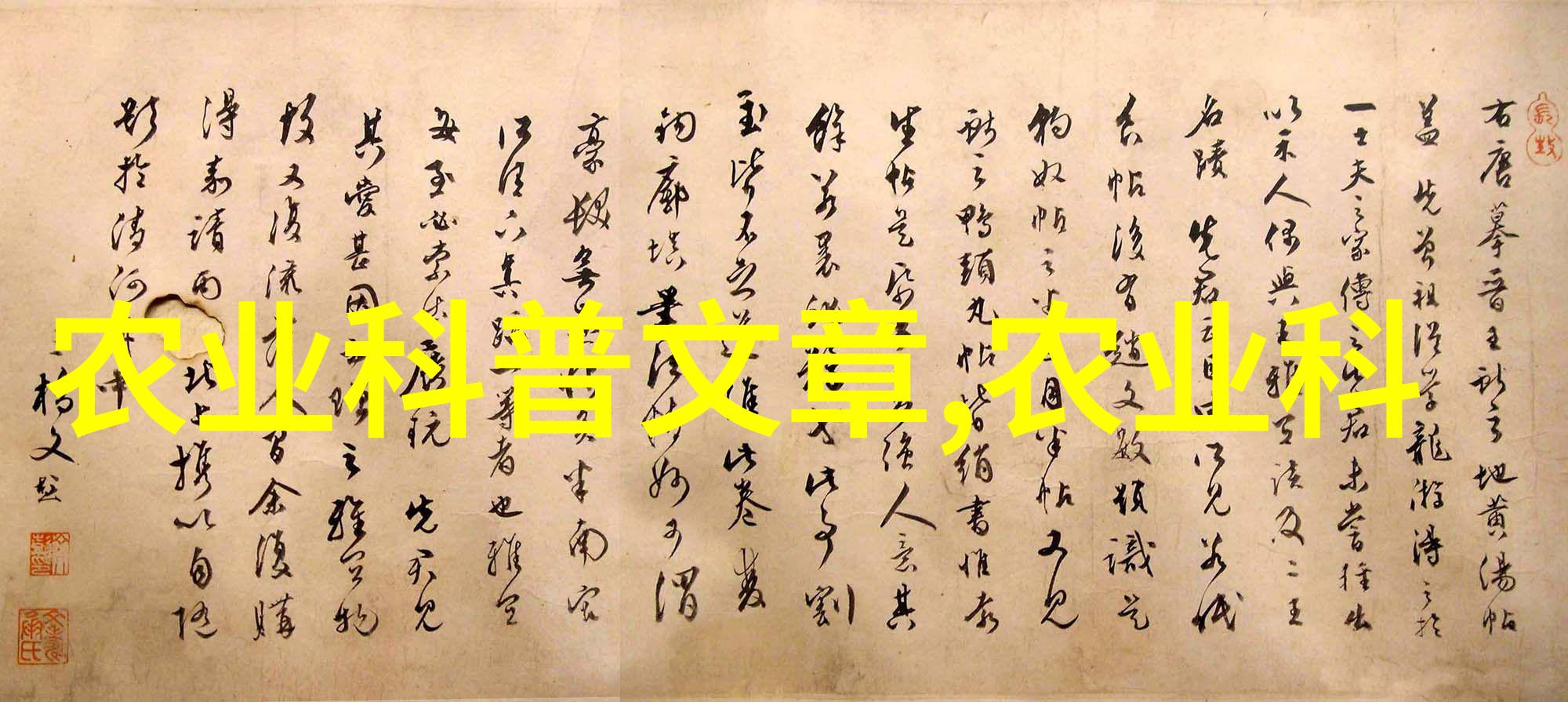 家园里的甜品适合家庭种植的理想水果