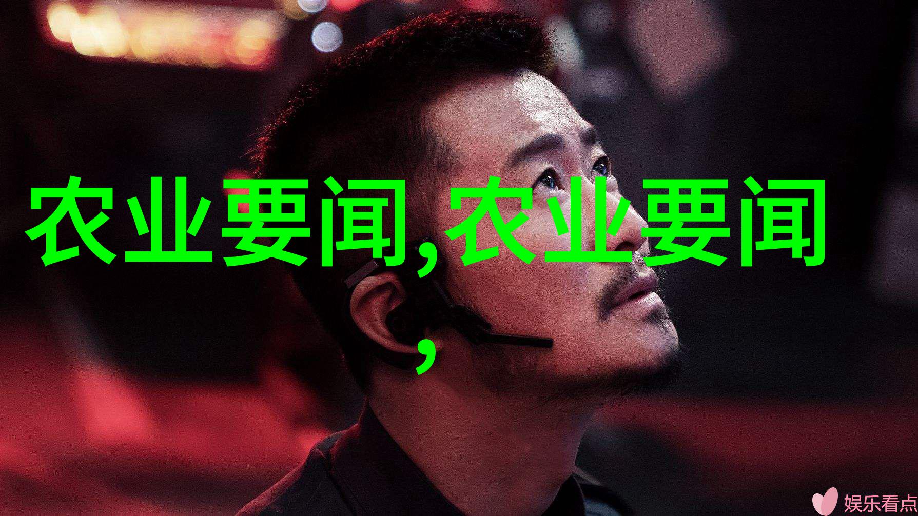 附近果树苗出售-春季园艺新品种亲自种植品味生活的甜美