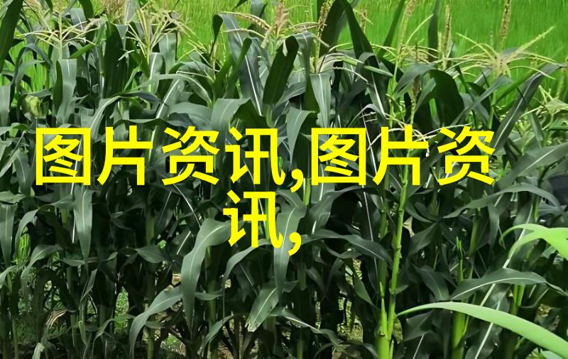 绿茶的艺术揭秘各种形状下的美味世界