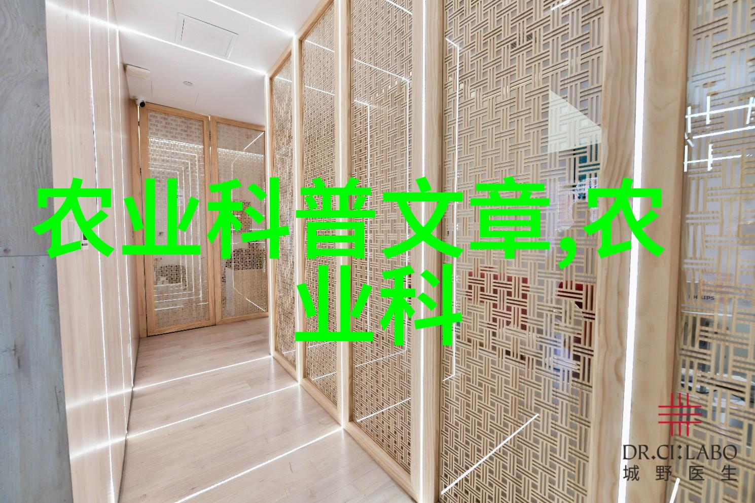 深邃土壤中的翅膀地洞养蜂的奇妙艺术