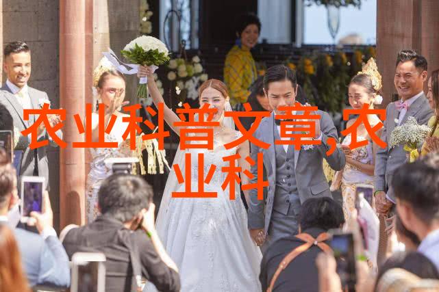 盆栽花卉图片-色彩斑斓的室内绿意探索精美盆栽花卉图片艺术