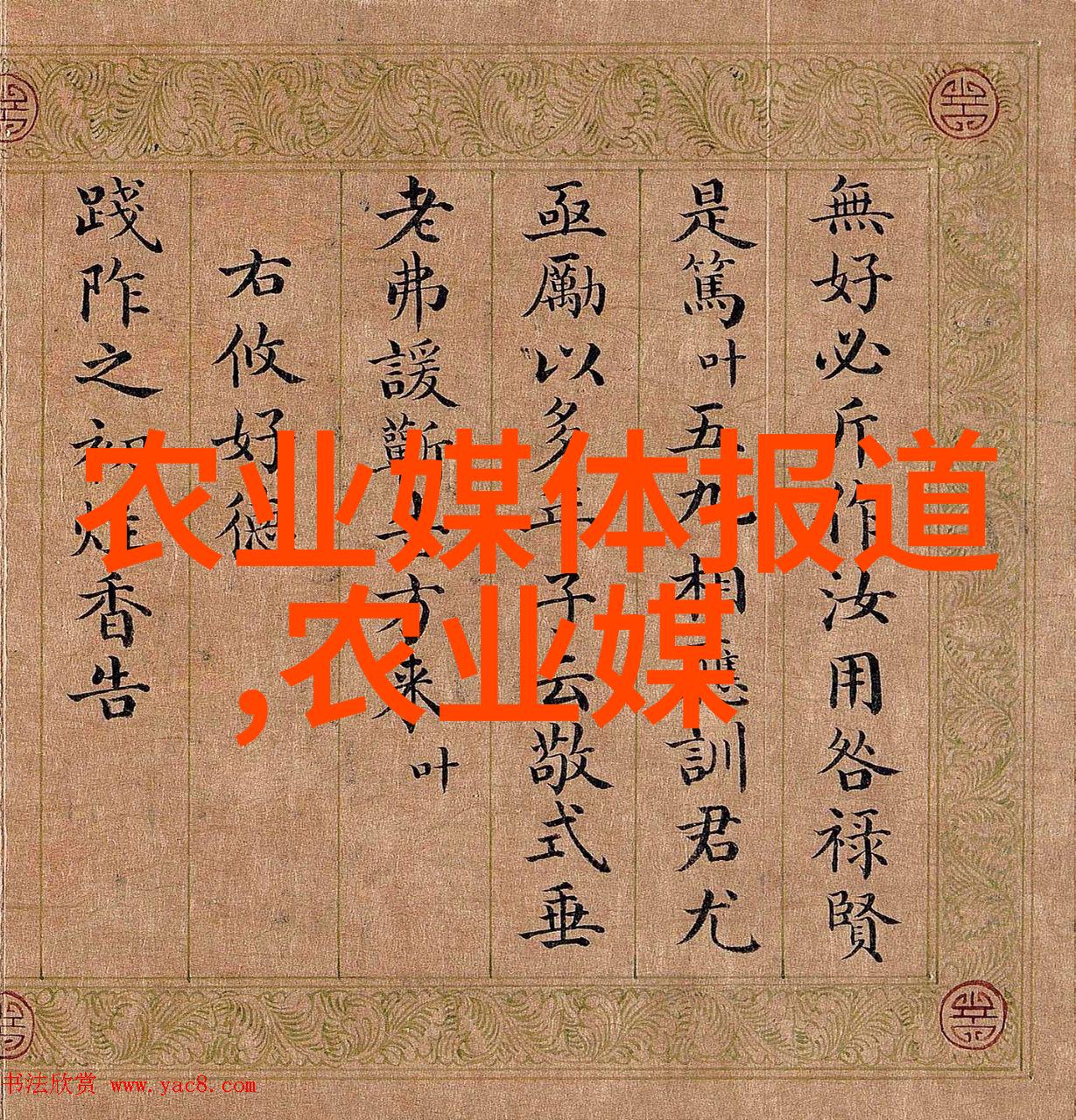 养蜂蜜蜂高效管理技巧精准定植健康繁育