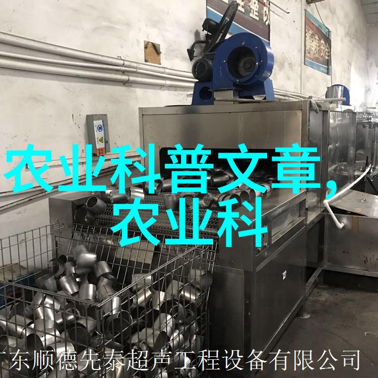 神秘森林深处传说中的古树隐藏在茂密叶子的古老巨木