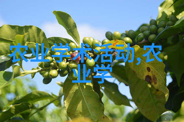 10种最受欢迎的室内植物盆景设计