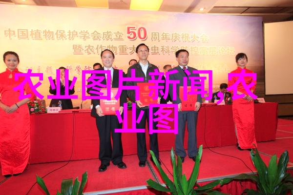 在温室之下丰收的秘密种植蔬菜大棚的经济效益探究