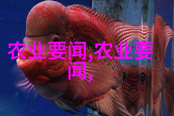 养小龙虾需要什么条件和技术我来告诉你如何把这活干好