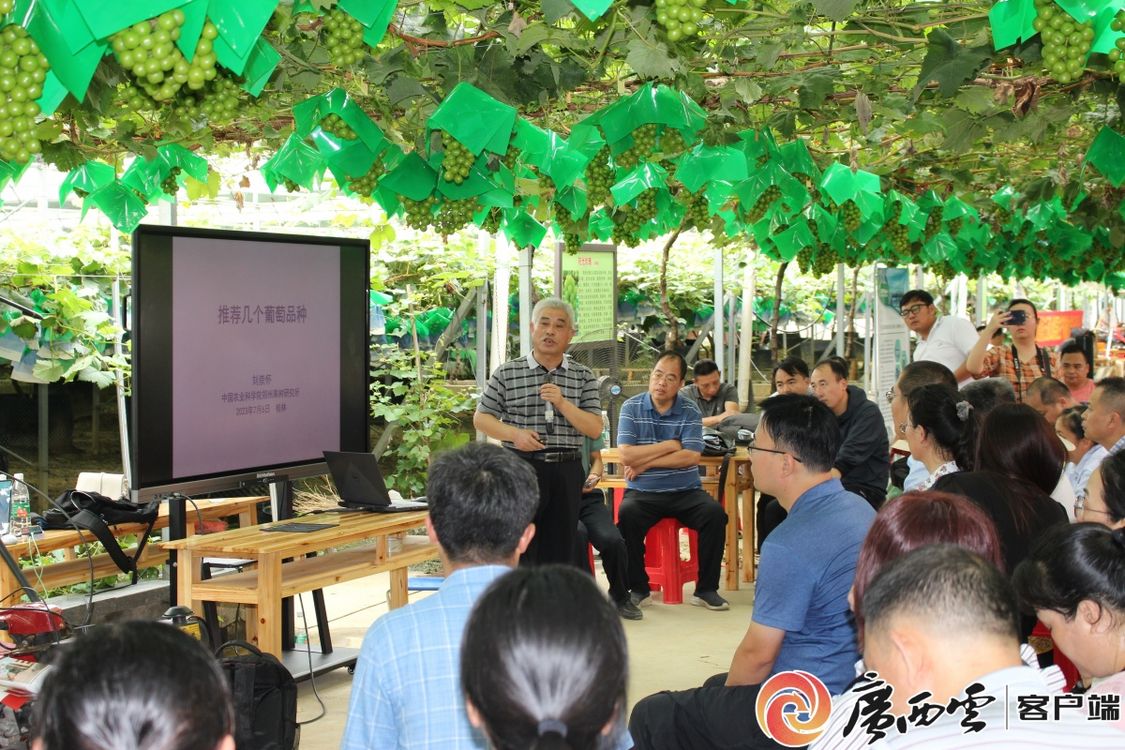 茶叶的演变发展历史 从古老的朝代到现代化工艺