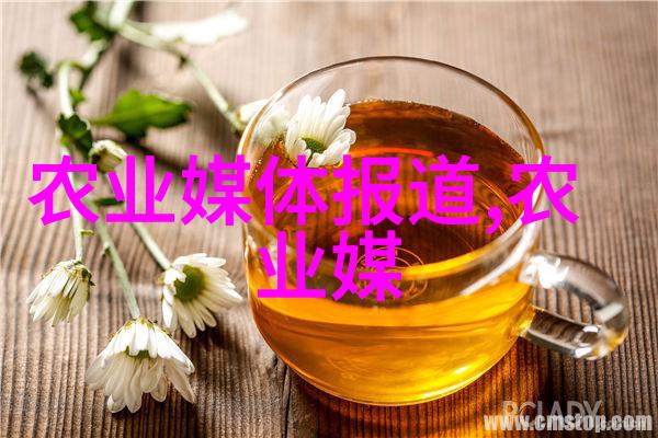 蔬菜大棚的现代化运用丰收与节能并重的未来农业模式