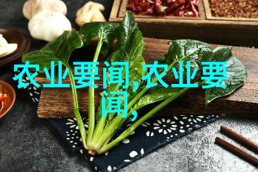 追忆与期待我的夏天在鄢陵花木网