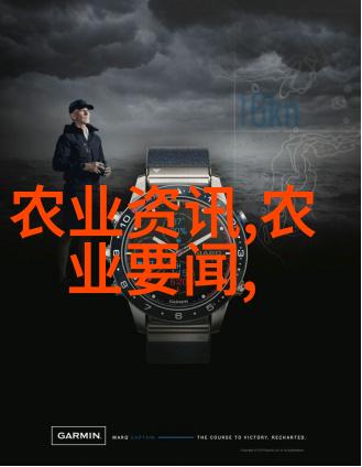 丰收快乐种植神奇水果秘诀