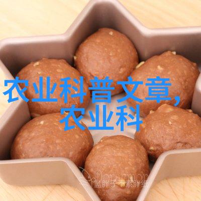 挖树机我的小伙伴在森林里的冒险