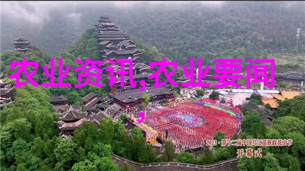 家中养什么花好让我们一起探索聚财的秘密
