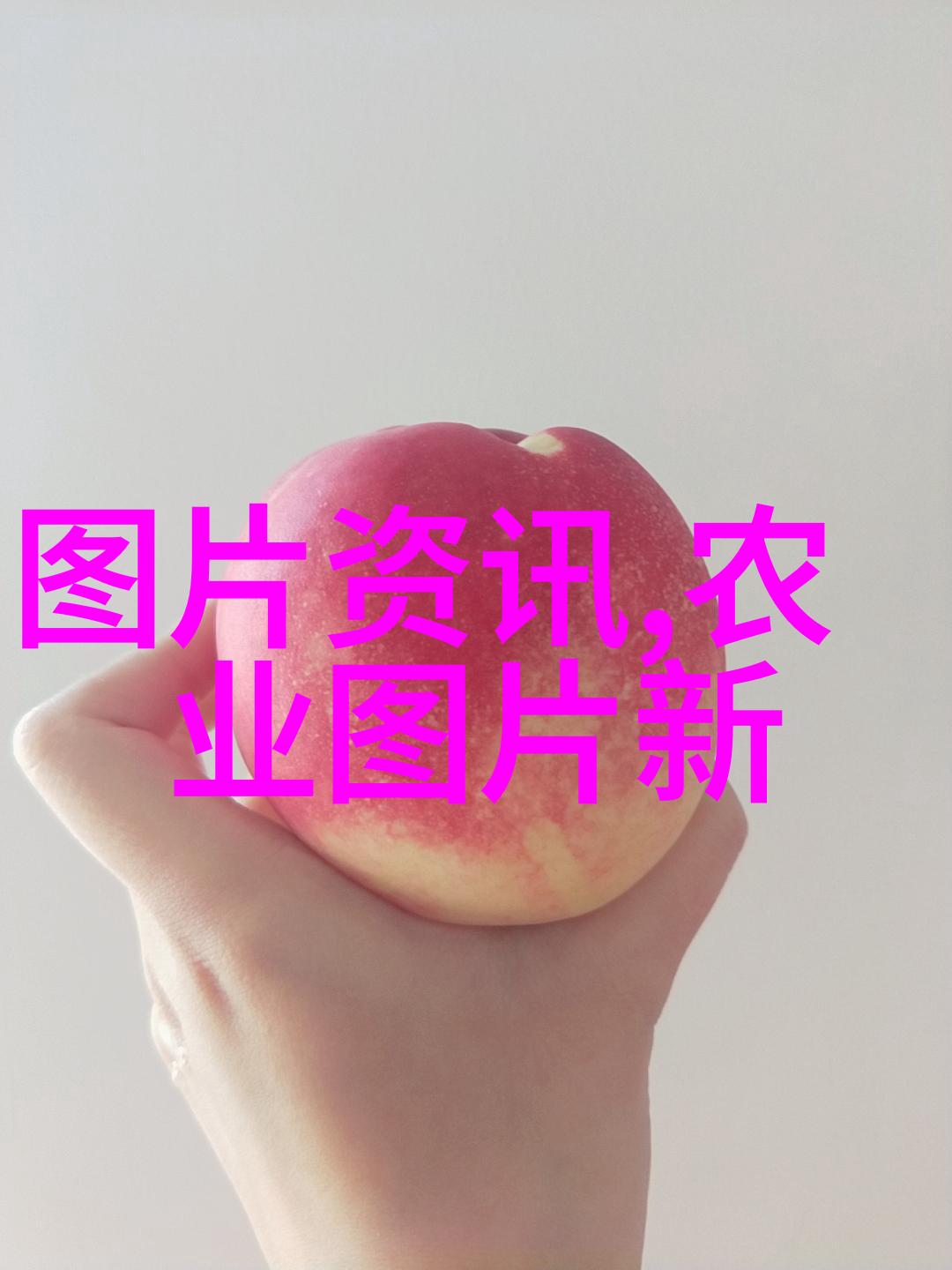 如何确保饲料的质量与数量对虾类健康影响最大化