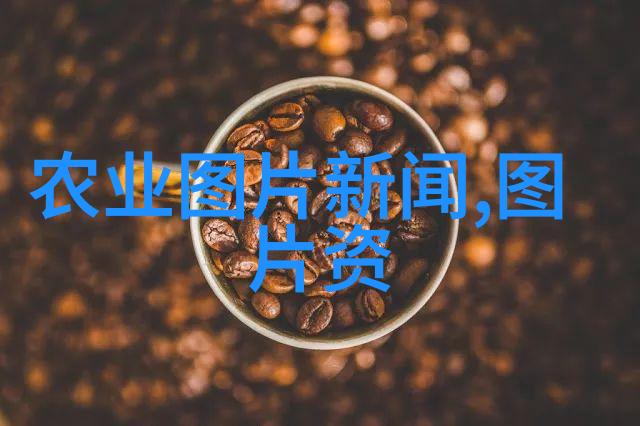 室内绿洲巧妙引入自然之韵