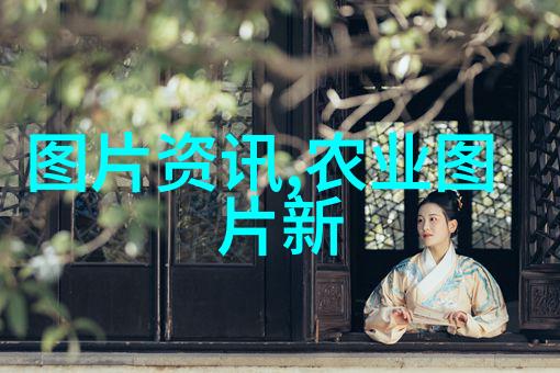 现代农业-大棚革命探索高效的现代种植项目