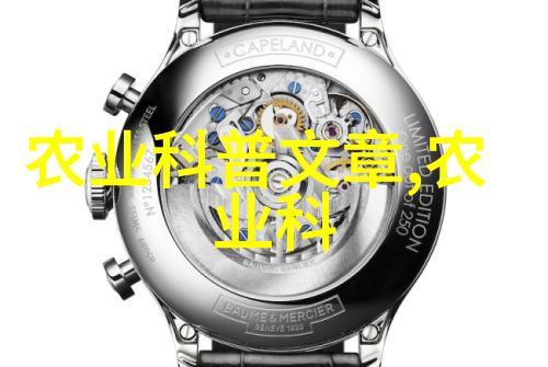 主题我来教你如何养牛蛙从基础到高级的全方位培训