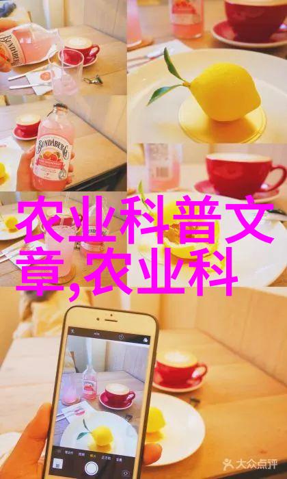 家用玉米棒自动化处理系统的优化设计
