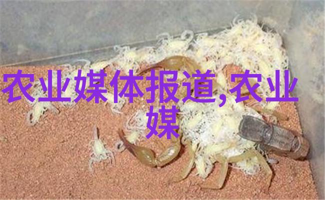 绿萝绽放屋中鬼影的秘密