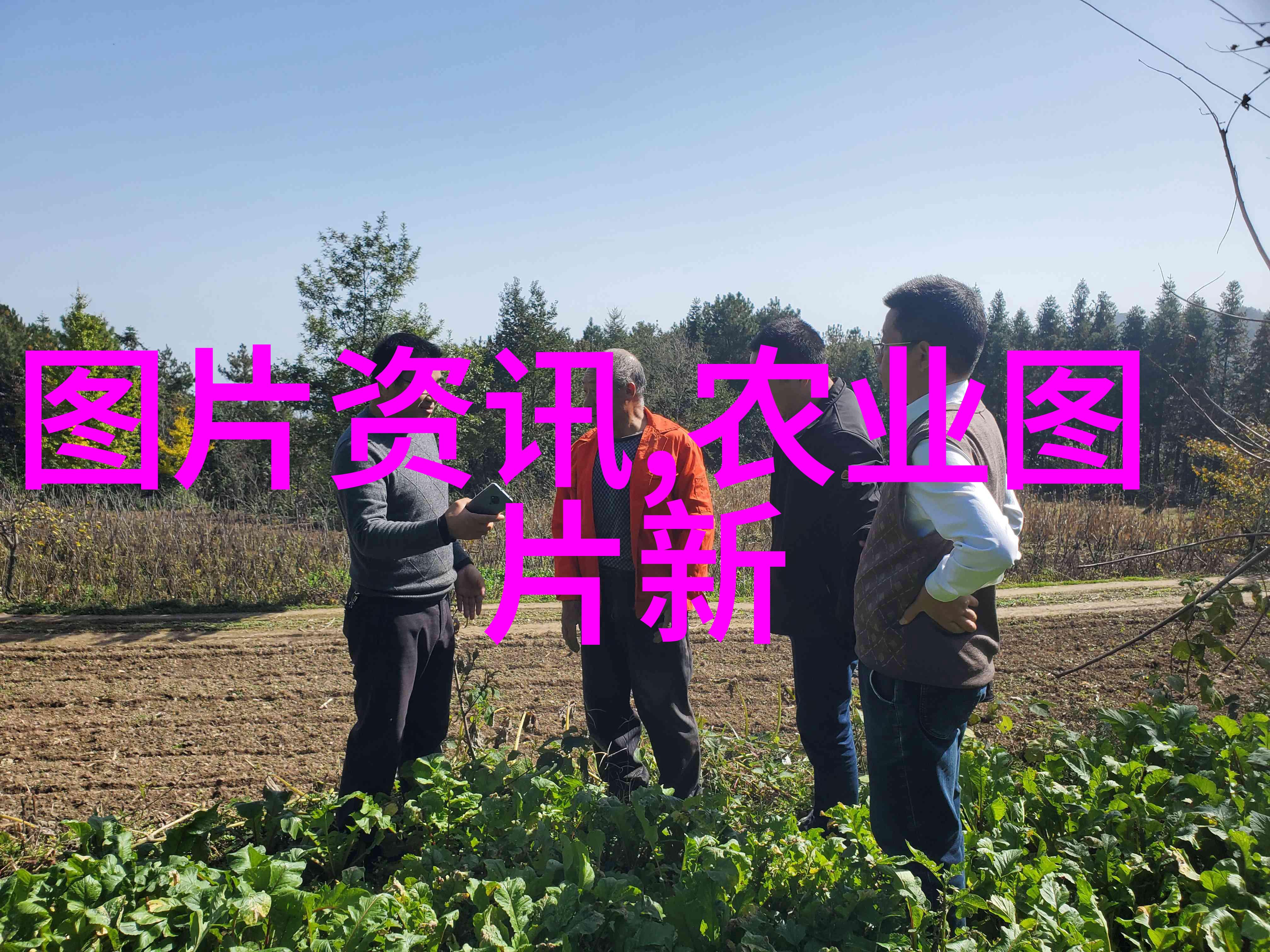 在苗木生长周期中苗木管理软件有哪些关键阶段应用