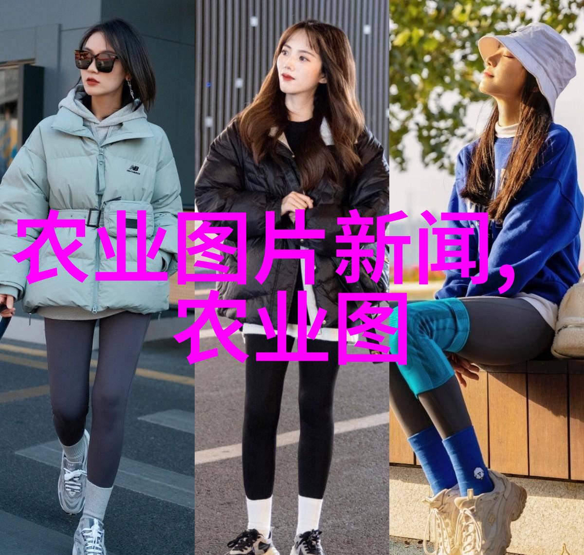 新手如何开始自己的小规模家庭蟾蜚园