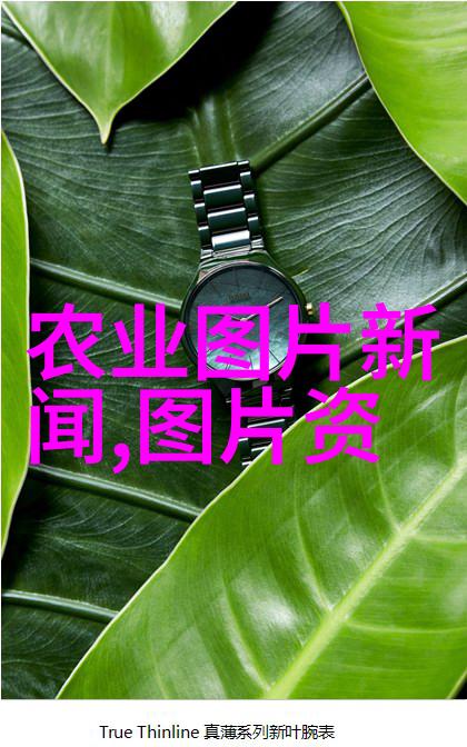 地方经济新动力现在种植哪些作物能快速致富