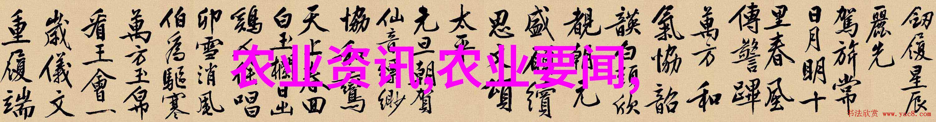探索茶的根源从中国古代到世界传播