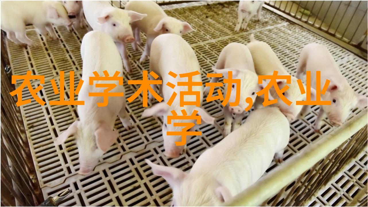 学习调动自然力量让你的园艺作品永远充满活力
