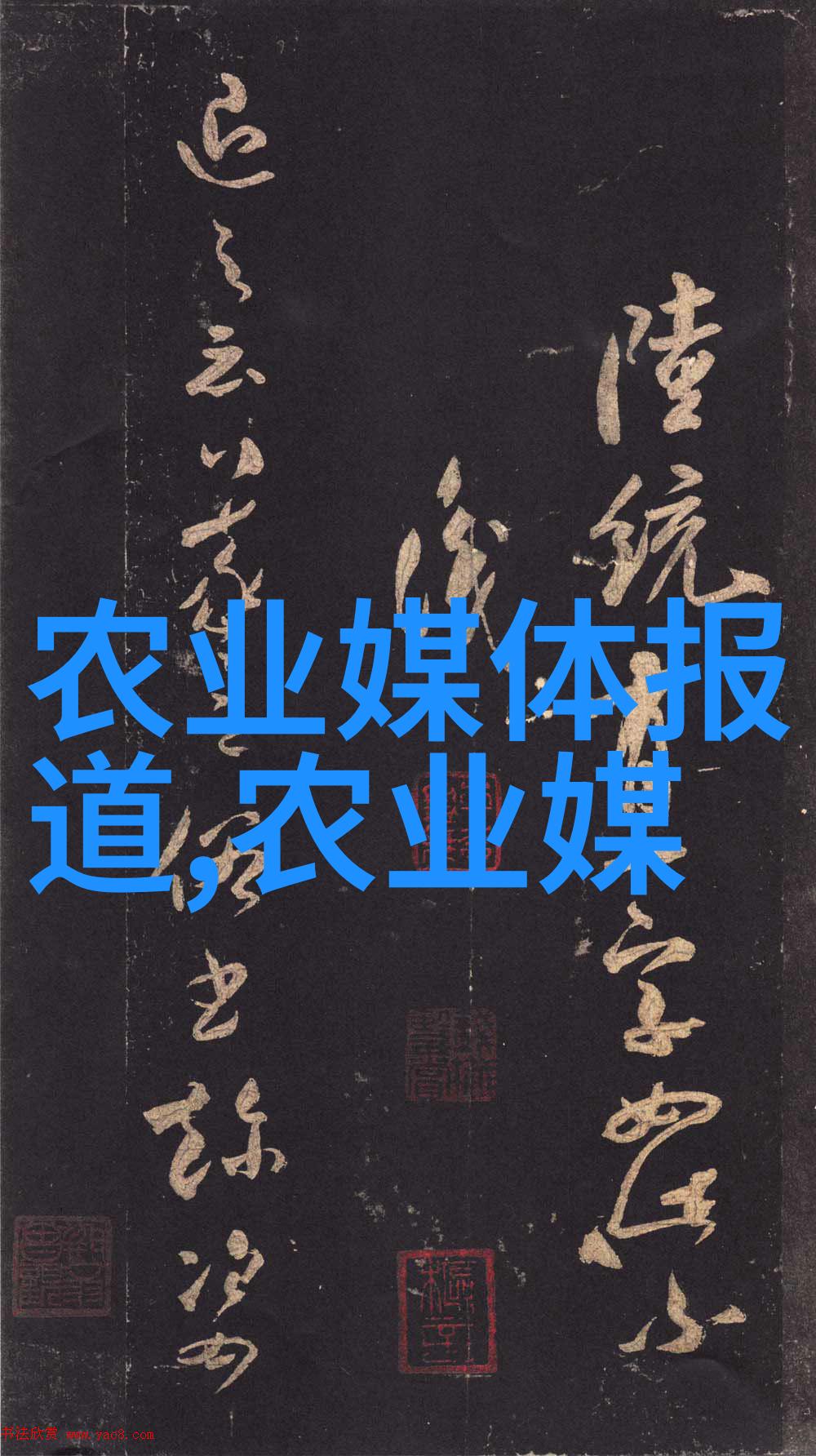 冻土火焰解密如何让你的窗台或庭院保持绿意连绵至年底