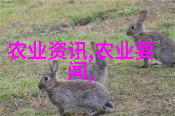 茶叶的生长环境与品质的影响