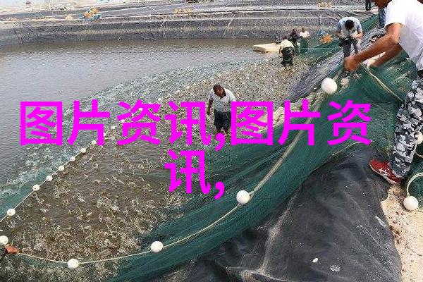 现代农业种植技术我是如何用科技让我的菜园子变出奇迹的