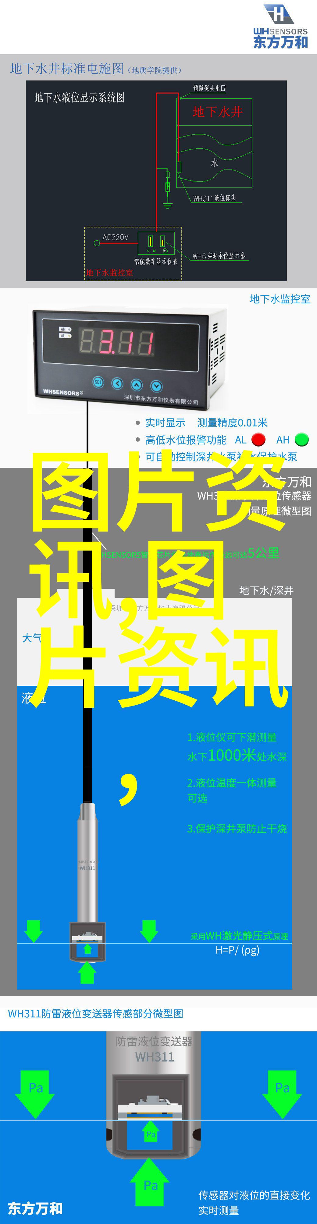 国槐之谜高价收购背后的秘密