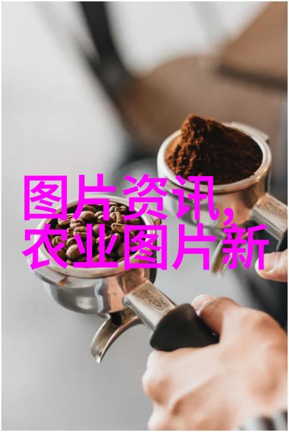 品味茶韵探索世界各地的茶叶种类与美名