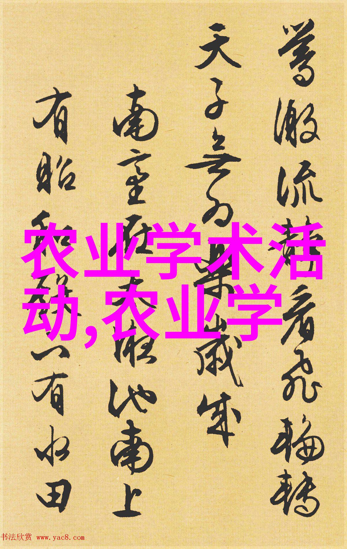 苗种植大赛谁能摘到最甜的合作果实