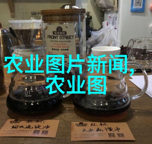 农村金钱鱼赚钱又健康的选择