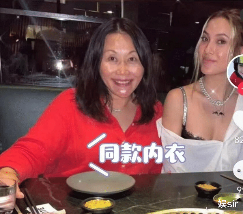冬日绿意马齿苋点缀的西葫芦育苗秘籍