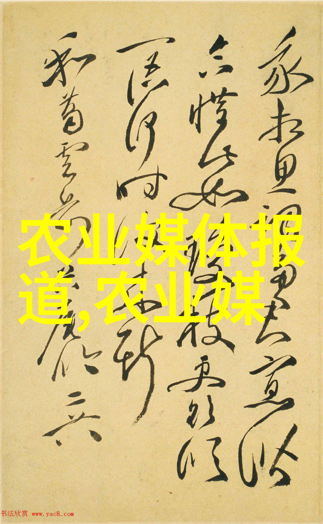 茶花树在家中不吉利的传说古代中国风俗与现代家庭布置之间的差异