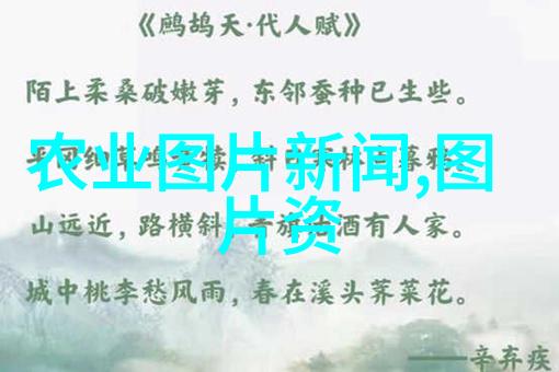 室内绿洲巧妙种植的艺术与智慧