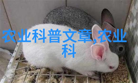 影响15至18年间红果冬青树价值增长的主要因素是什么